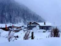 成都余盛源网络科技工作室